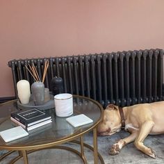 a dog laying on the floor next to a table with books and candles in front of it