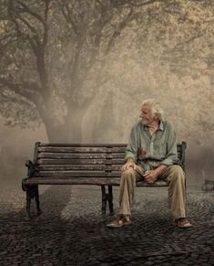 an old man sitting on a bench in front of a foggy park with trees