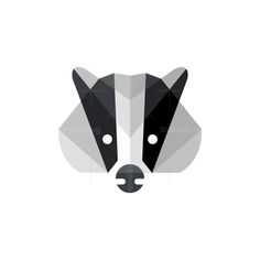 a raccoon's face is shown in the shape of a geometric design