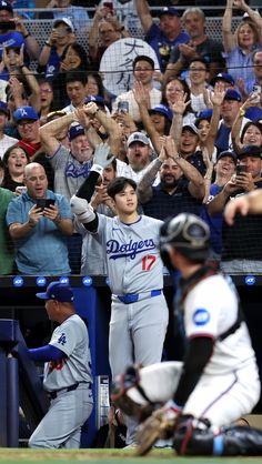 Shohei Ohtani Fighters, Shohei Ohtani Dodgers, Shohei Ohtani Casual, Shohei Ohtani Wbc, Shohei Ohtani With Fans