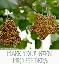 two bird feeders hanging from a tree with the words make your own bird feeder?