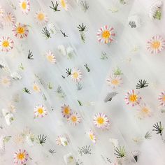 flowers are floating in the air on a white surface with sheer fabric covering it and behind them is an image of daisies