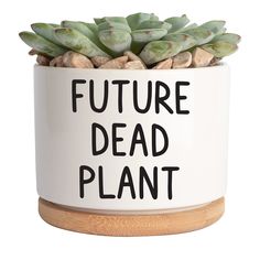 a ceramic planter with the words'future dead plant'printed on it