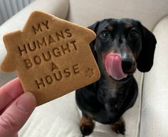 a dog is sitting on a couch and holding a cookie with the words, my humans bought a house