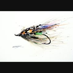 a drawing of a fly with multicolored feathers