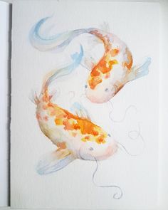 two orange and white koi fish in watercolor