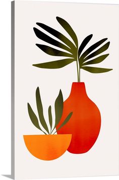 two oranges and a green plant on a white background