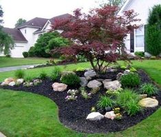 a very nice looking yard with some rocks and flowers in the grass by the house