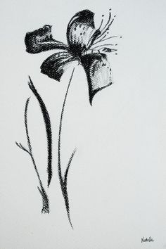 a black and white drawing of a flower on a white paper with watermarking