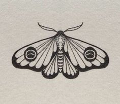 a black and white drawing of a moth