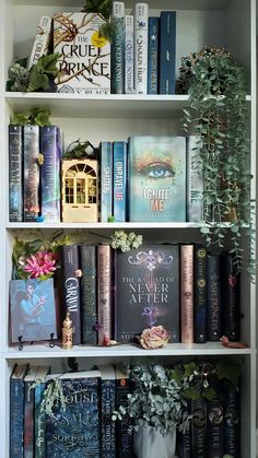 a book shelf filled with lots of books next to a potted plant and flowers