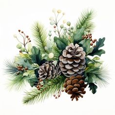 a watercolor painting of pine cones and evergreen leaves