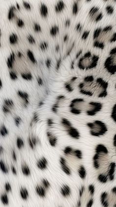 an animal with black and white spots on it's fur is seen in this image