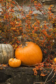 pumpkins and gourds are sitting on the stone wall next to each other