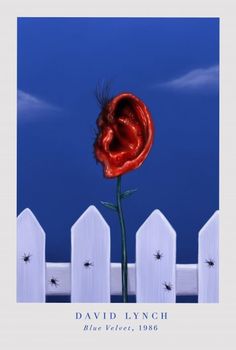 a red rose is in front of a white fence