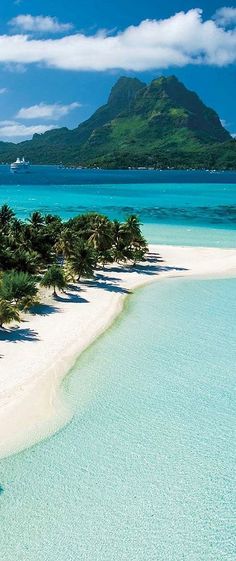 an island with palm trees on the beach