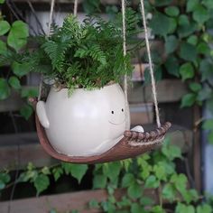 a potted plant in the shape of a whale is hanging from a rope with leaves on it