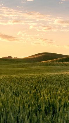 the sun is setting over a field of green grass with hills in the distance behind it