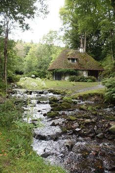 a stream running through a lush green forest next to a small house with a thatched roof