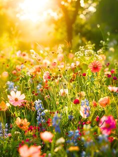 the sun shines brightly over an assortment of wildflowers and daisies in a field