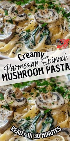 this creamy mushroom pasta is ready in 30 minutes