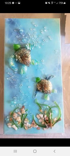 two small turtles in the water with seaweed on it's back and shells on their backs