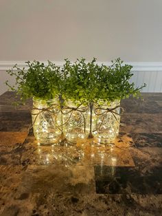 three mason jars with plants in them sitting on a table