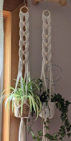 two macrame plant hangers with plants in them