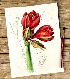 a watercolor painting of red tulips on a piece of paper next to a paintbrush