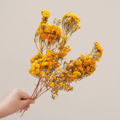 a person is holding yellow flowers in their hand