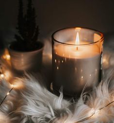 a lit candle sitting on top of a white fur covered floor next to two potted plants