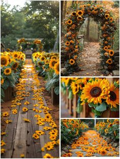 the sunflowers are blooming all over the ground and on the wooden walkway