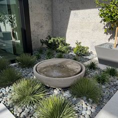 an outdoor fountain surrounded by plants and rocks