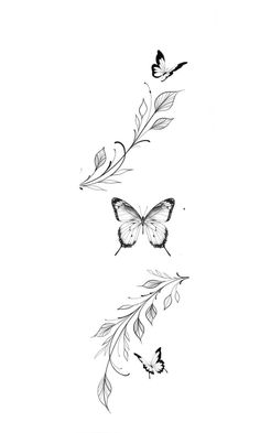 two butterflies flying next to each other on a white background