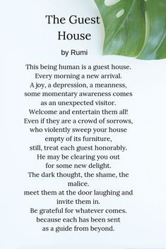 the guest house poem by rumi on white background with green leafy plant in foreground