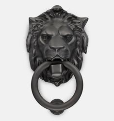 a black lion head door knocket with a ring on it's front end