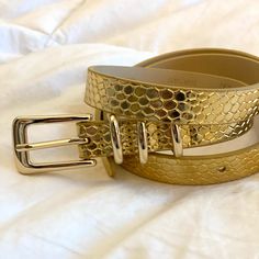 Gold Belt Brand New Condition Gold Belt, Accessories Gold, Gold Belts, Belts For Women, Snake Skin, Belts, Women Accessories, Nordstrom, Brand New