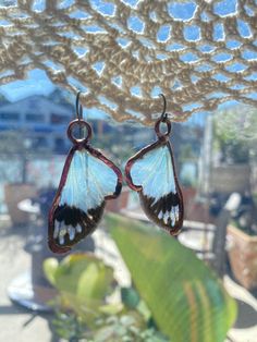 a pair of butterfly shaped earrings hanging from a window sill next to a potted plant