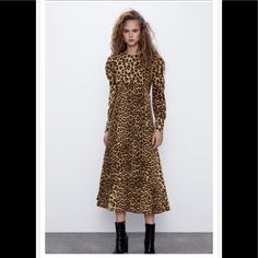 Hp Nwt! Zara Animal/Leopard Print Midi Dress Size Xl. Never Worn! Figure Flattering. Round Neck. Long Cuffed Sleeves With Puffed Shoulders. 100% Rayon. Made In Morocco. Bundle And Save Reasonable Offers Welcome! Leopard Print Long Sleeve Midi Dress, Fall Leopard Print Long Sleeve Midi Dress, Leopard Print Long Sleeve Midi Dress For Fall, Fall Long Sleeve Leopard Print Midi Dress, Chic Leopard Print Dresses For Winter, Casual Leopard Print Maxi Dress For Fall, Fall Leopard Print Knee-length Midi Dress, Casual Midi Leopard Print Dresses, Fall Leopard Print Midi Dress