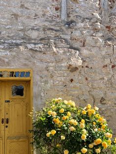 a potted plant with yellow flowers in front of a stone wall and wooden door