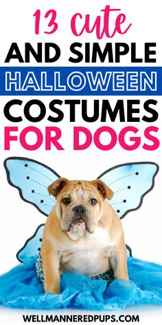 a dog sitting on top of a blue blanket with the words 13 cute and simple halloween costumes for dogs