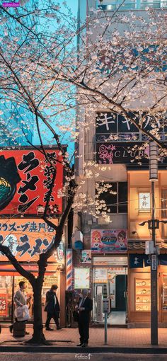 people are walking on the sidewalk in front of shops with cherry blossom trees around them