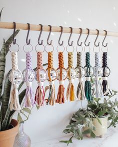 a bunch of tassels are hanging on a wall next to a potted plant