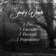 Spooky Woods, Simmer Pots, Essential Oil Perfumes Recipes, Essential Oils Guide, Essential Oils Herbs, Oil Diffuser Recipes