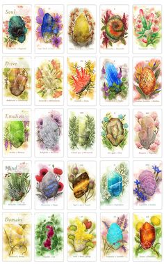 many different colored flowers and plants are shown in this drawing style card book cover design