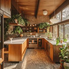 a kitchen with lots of plants in it