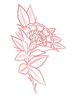 Blackwork Flowers, Tattoo Stencil Designs, Tattoos Masculinas, Traditional Flowers, Traditional Flower, Pyrography Patterns, Back Tattoos For Guys