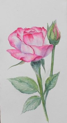 Minimal Tattoo Ideas, Watercolor Pencil Art, Abstract Rose, Roses Art, Flower Drawing Tutorials, Flower Art Drawing, Diy Watercolor Painting, Roses Drawing, Watercolor Flower Art