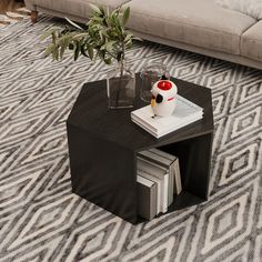 a coffee table with books and a plant on it