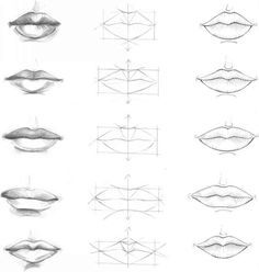 an image of different types of lips and their corresponding features in the drawing book,